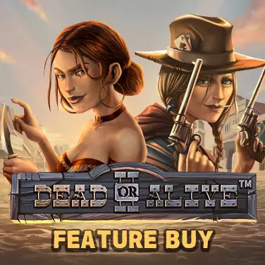 Dead or Alive 2 Viggoslots France